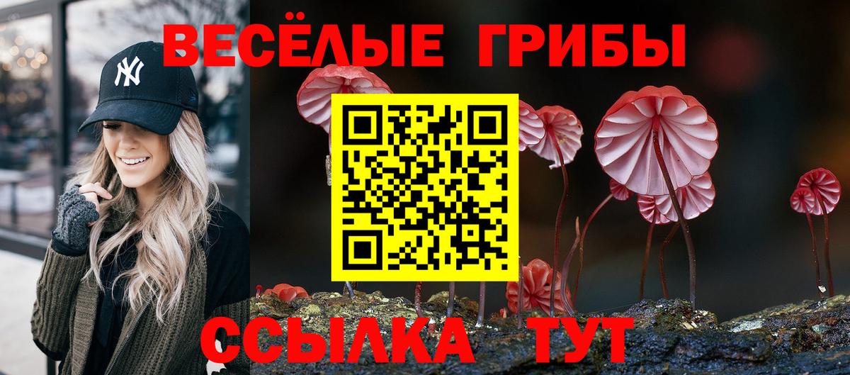 Галлюциногенные грибы Psilocybine cubensis  Псилоцибиновые грибы Magic Shrooms  Вход с VPN  Вышний Волочёк 